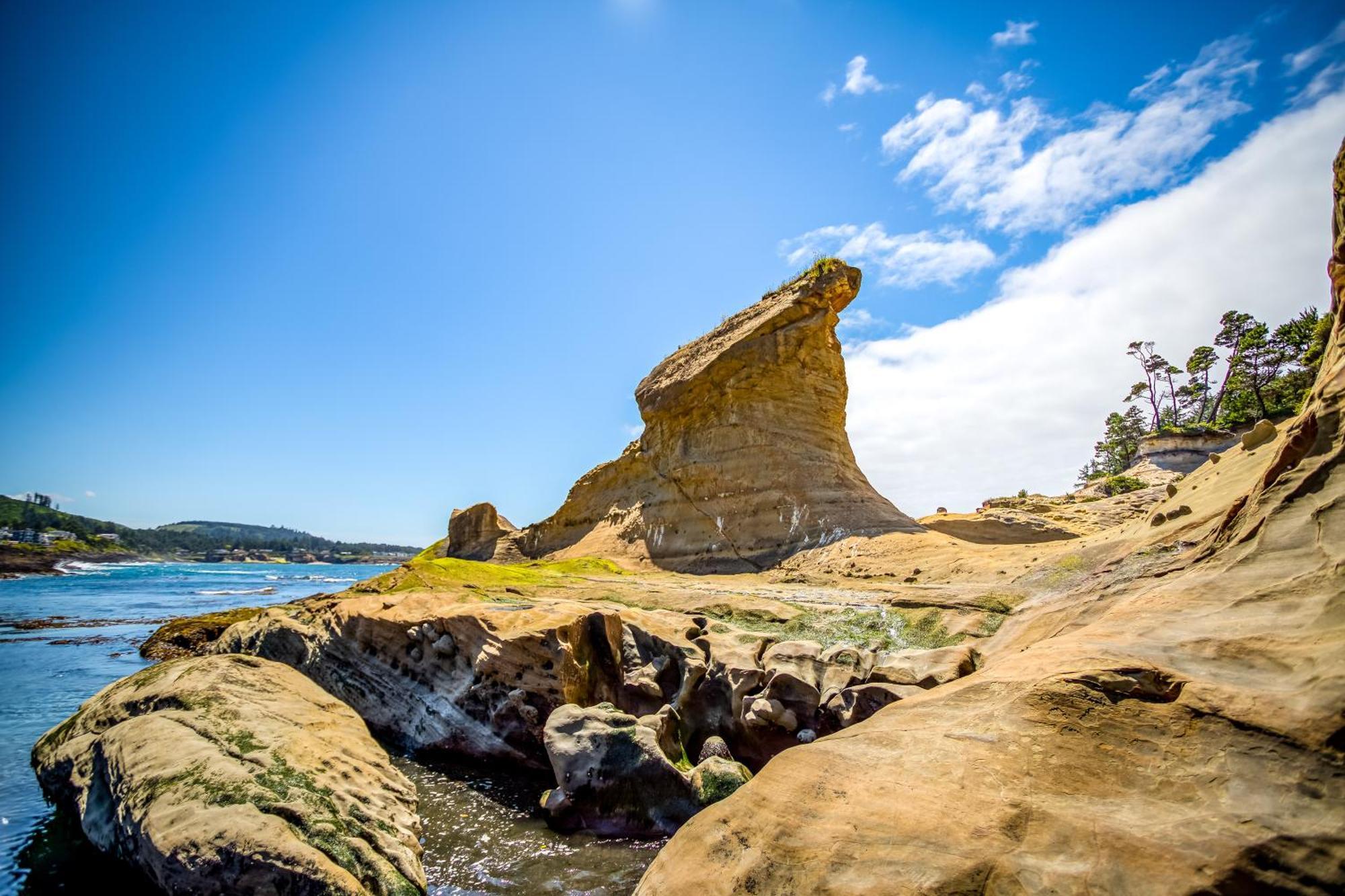 Whale'S Paradise Depoe Bay Dış mekan fotoğraf
