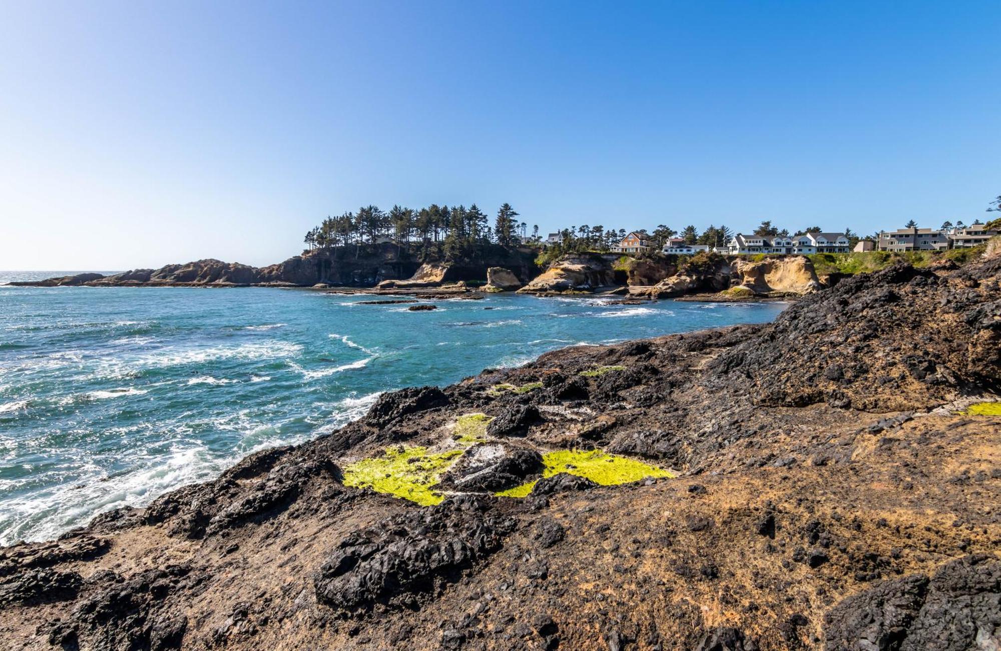 Whale'S Paradise Depoe Bay Dış mekan fotoğraf
