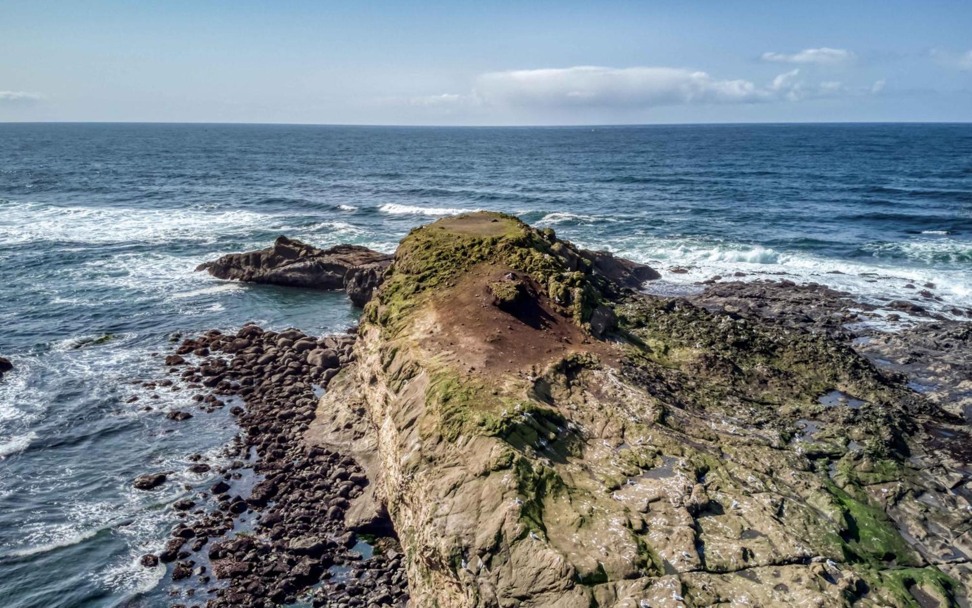 Whale'S Paradise Depoe Bay Dış mekan fotoğraf